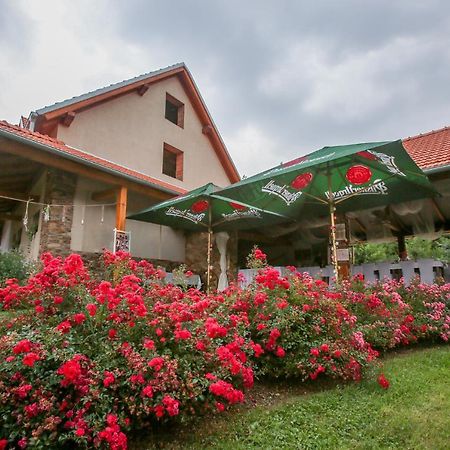 Jonasuv Mlyn Pension Zhor u Mlade Vozice Buitenkant foto