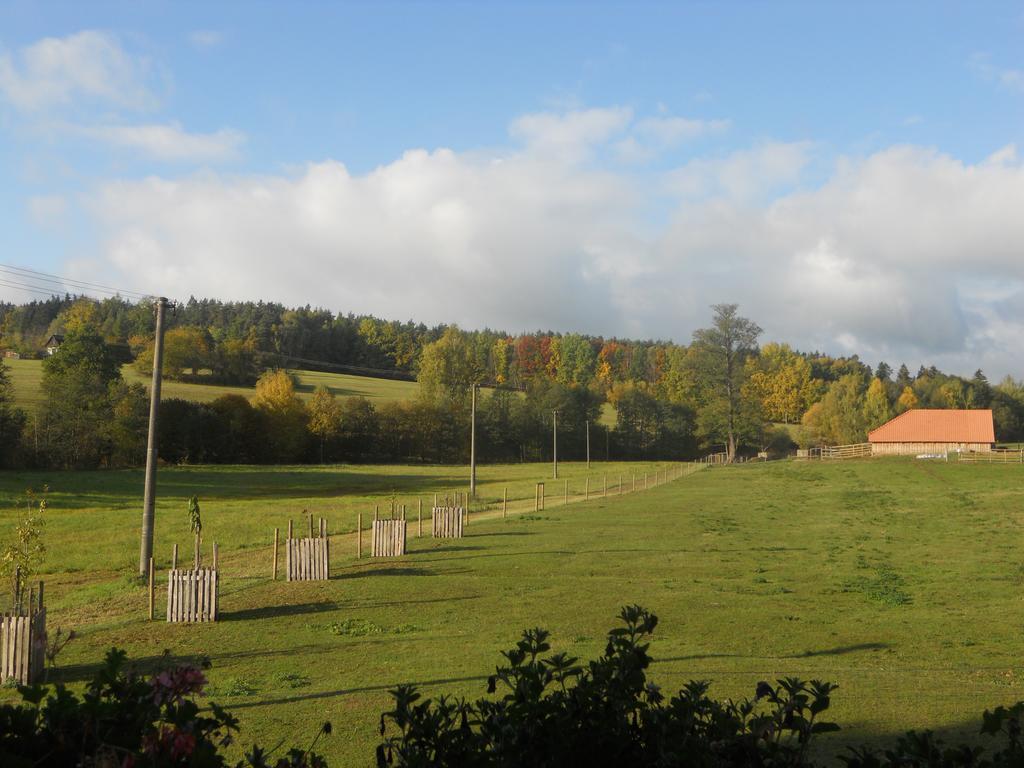 Jonasuv Mlyn Pension Zhor u Mlade Vozice Buitenkant foto